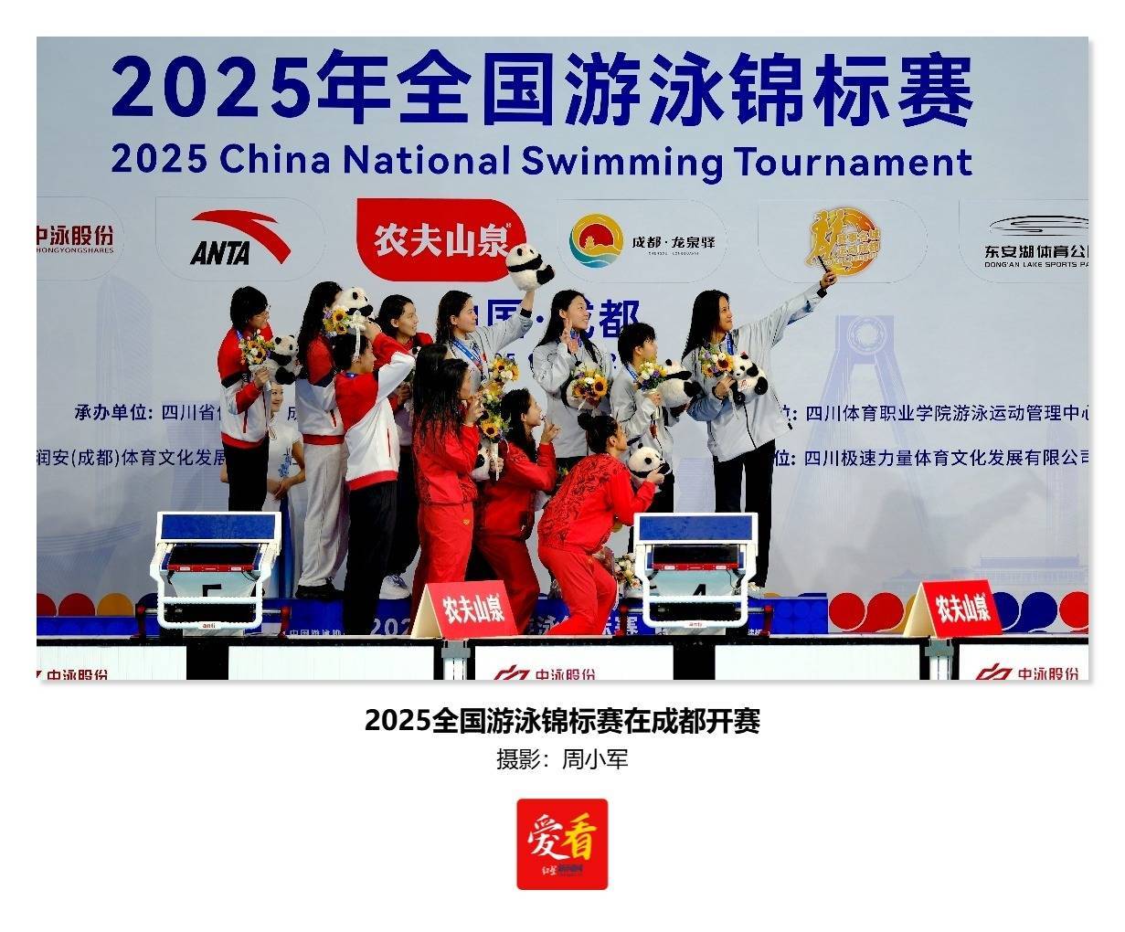 包含游泳官方发布赛后数据，表现引争议的词条