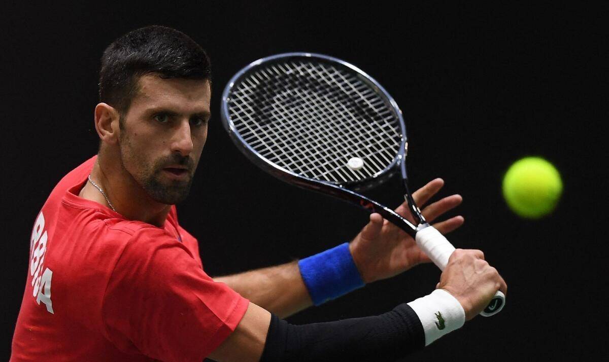 戴维斯杯绝杀温网，德约科维奇高光表现