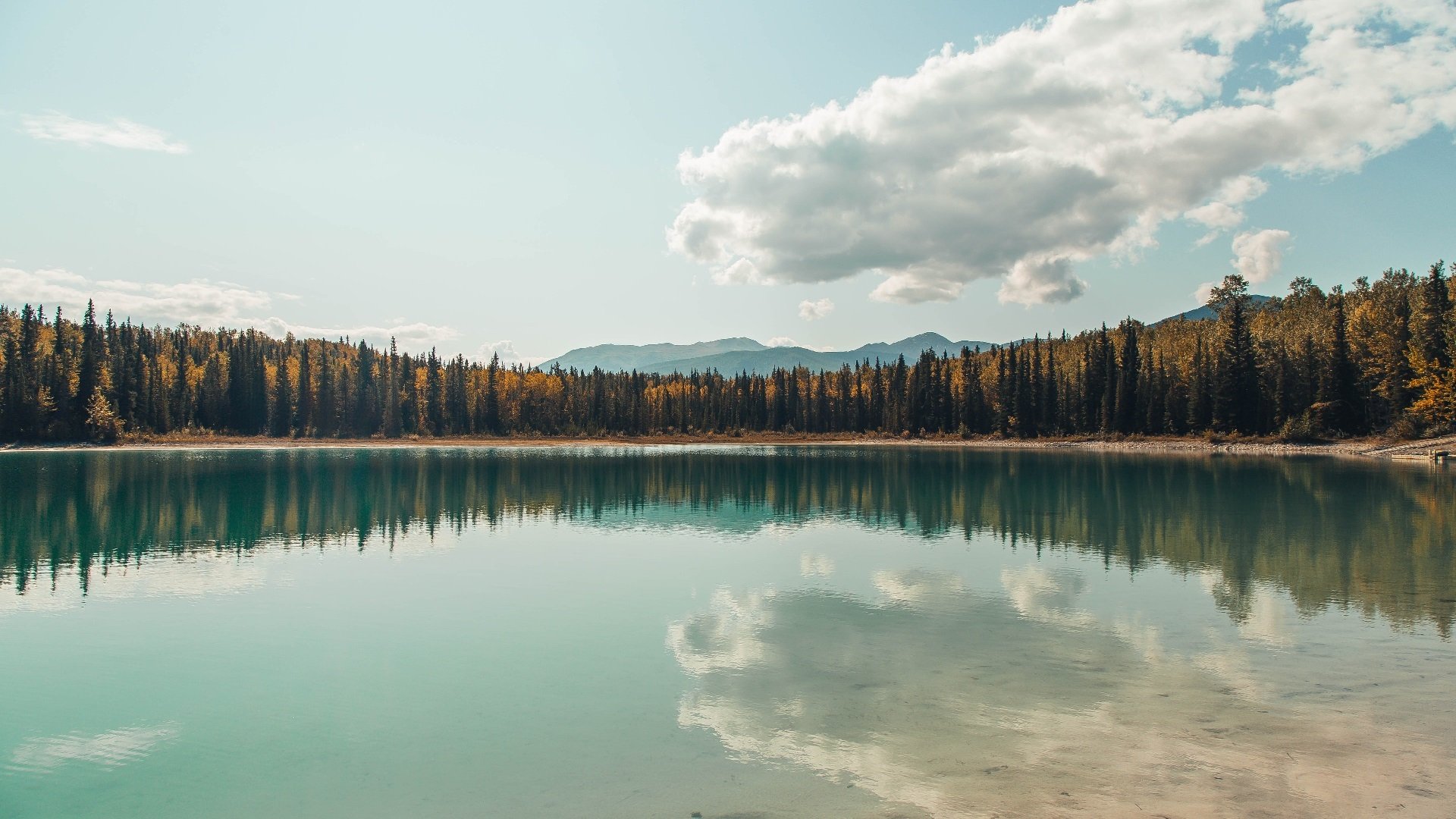 跨界战神！德里赫特生死战接管西决，同一夜巴西正面绞杀爱尔兰