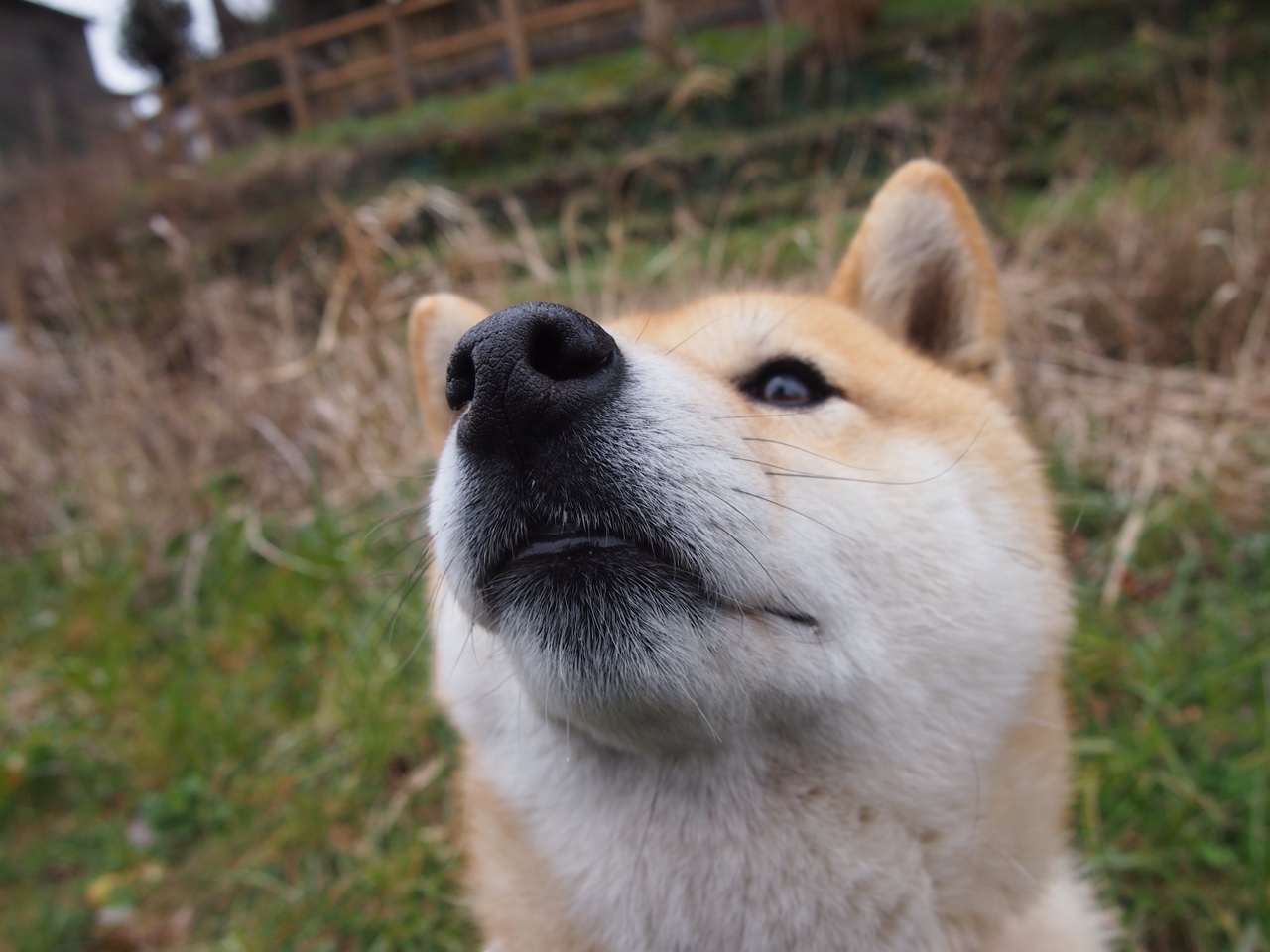 德罗赞压哨绝杀，爵士险胜老鹰，关键先生一锤定音