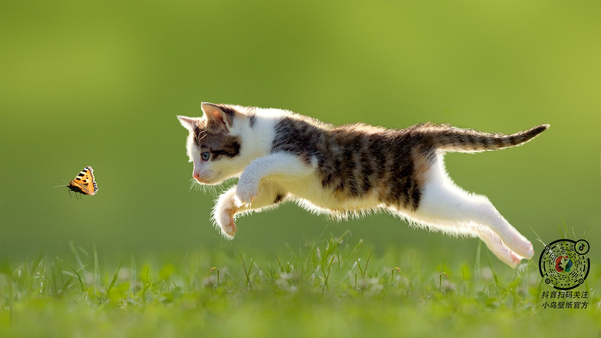 老鹰振翅，字母哥驭风，当篮球的统治力驶入F1赛道