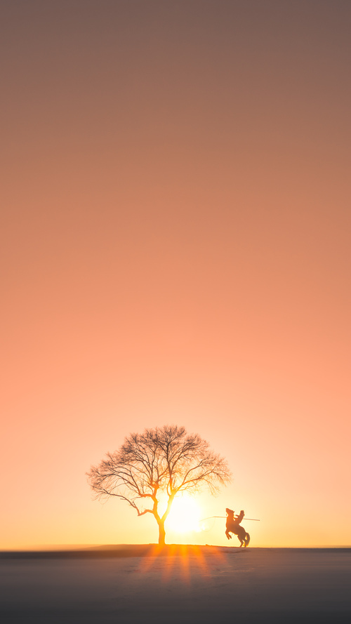 次元破壁!英格拉姆梦幻降临,独行侠降维打击横扫广厦