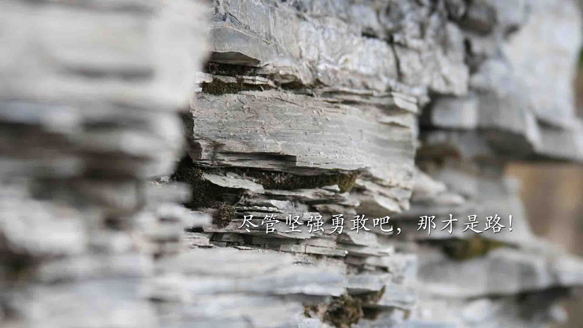 森林狼末节觉醒撕碎步行者，欧文50+10+8演绎无解单打