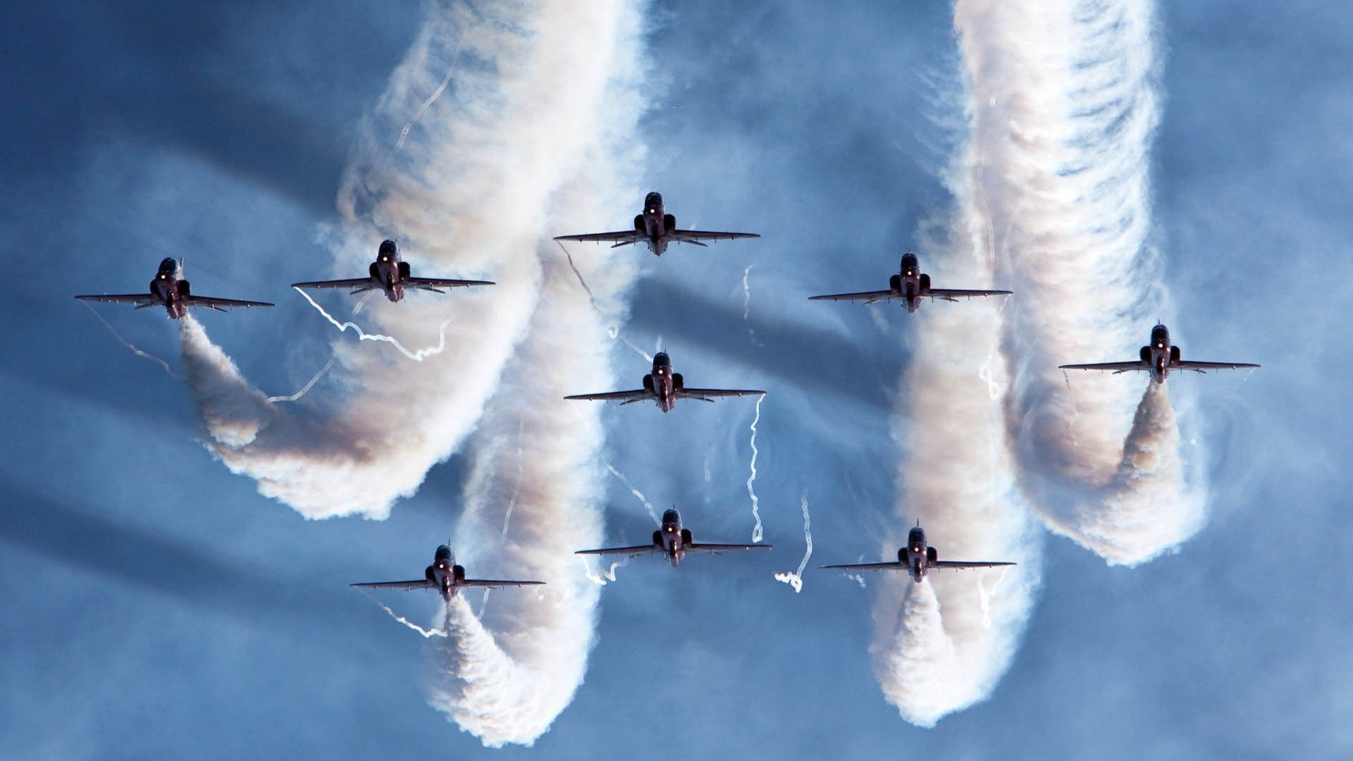 雪枫与桑巴，当加拿大寒流席卷哥伦比亚