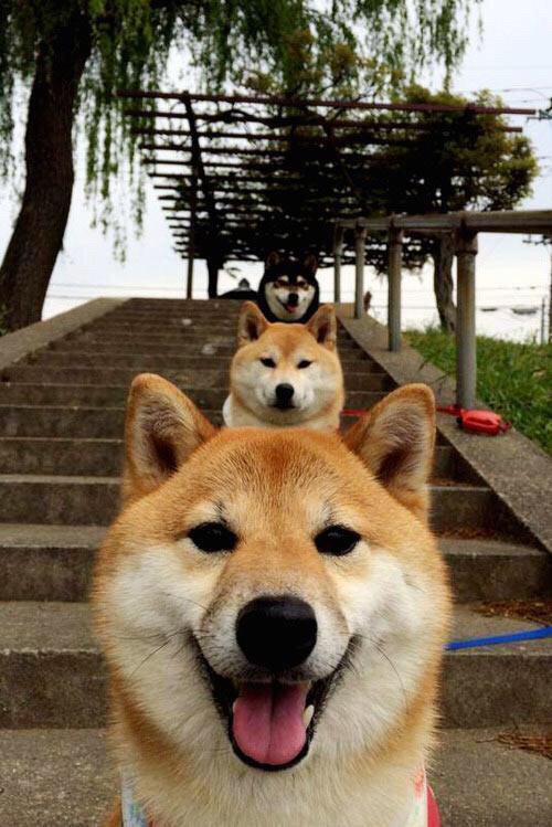 铁血广厦的反噬与荣光,班凯罗生涯之夜,深圳队被全面压制