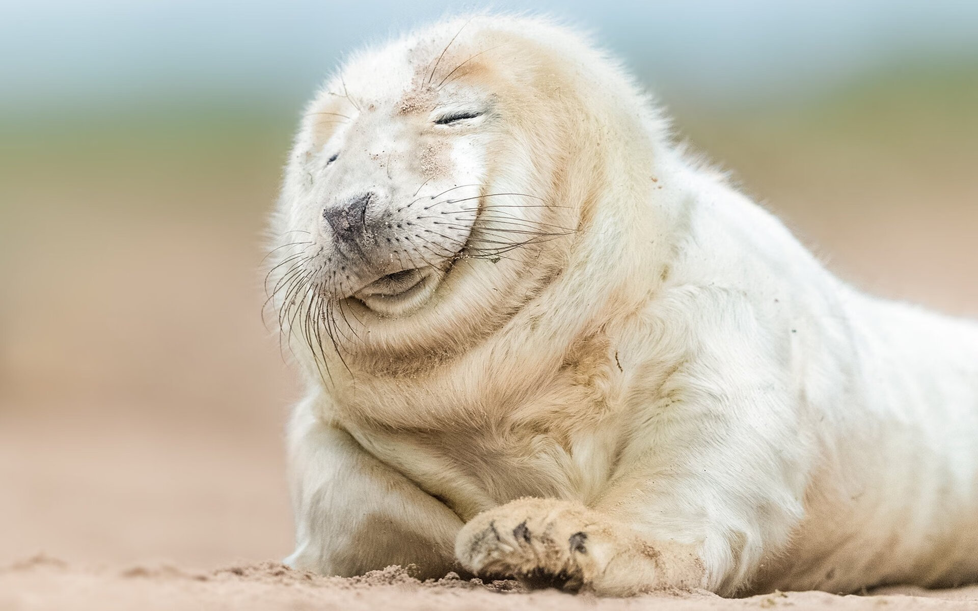 文艺复兴的狙击手，卡瓦哈尔一箭穿心，佛罗伦萨决胜局带走切尔西