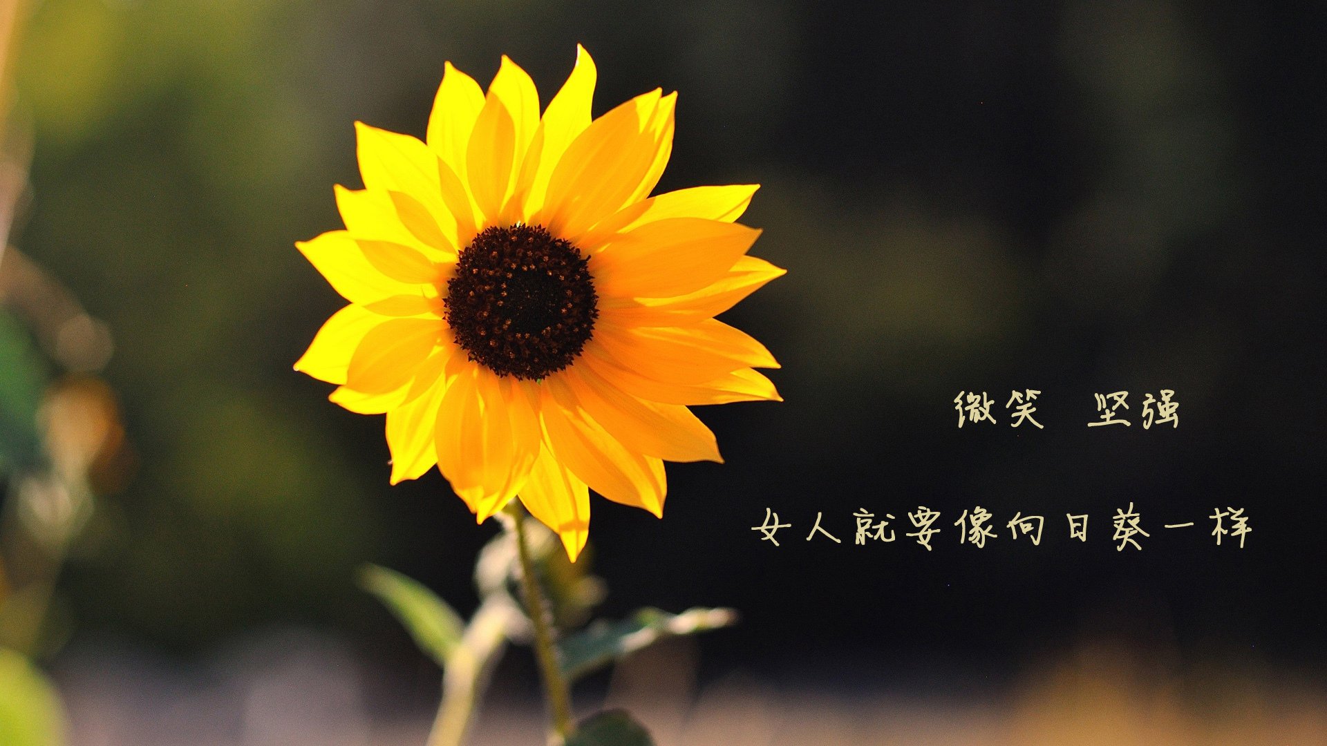 冷雨夜巨人苏醒,卡塞米罗一剑封喉,西班牙爆冷波兰震惊欧洲