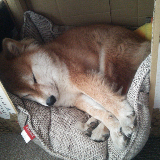 唯一而致命的漏洞,当勇士的强势遇见利拉德不手软的审判时刻