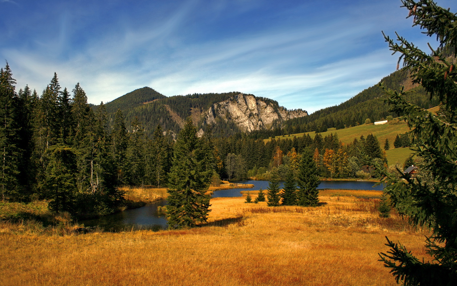 铁蹄踏过休斯顿,冰与火的对决中,福克斯加冕关键先生