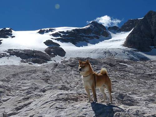 当东契奇时刻遇见国王时间，关键球如何改变比赛流向