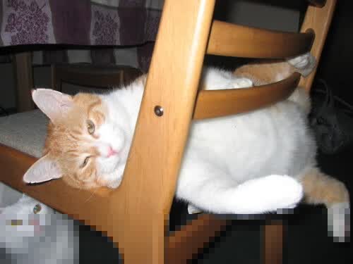 黑色猎豹的雷霆暴击，高卢战神的绝唱挽歌，2026世界杯，尼日利亚如何碾压秘鲁，吉鲁完成致命一击
